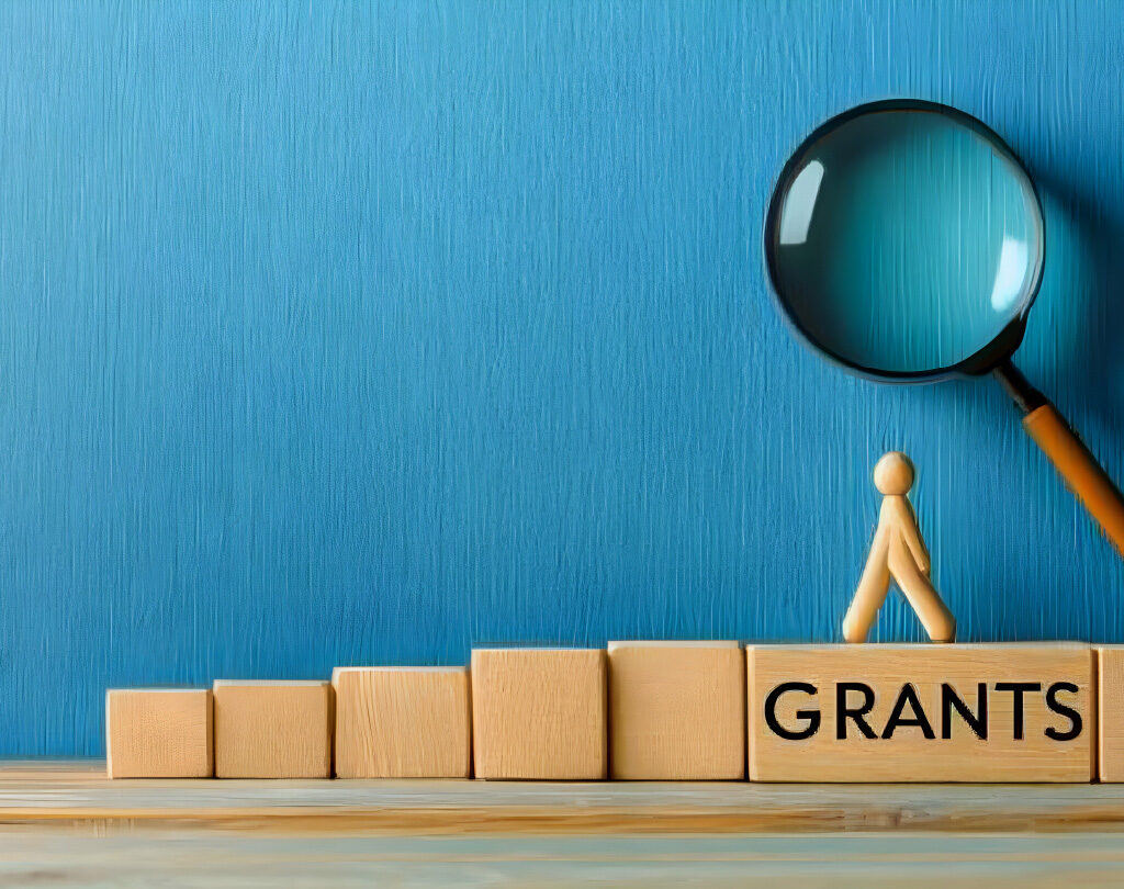 grant_funding-80-1024x810