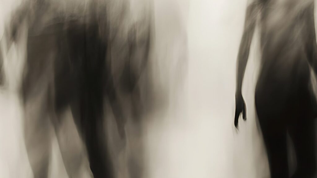 original-F5735F30-A32E-4907-9114-ACEC42A8DD1D-1-1024x576